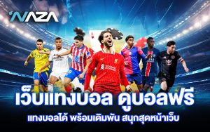 เว็บแทงบอล