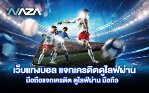 เว็บแทงบอล