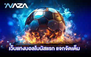 เว็บแทงบอล