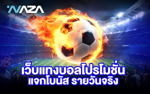 เว็บแทงบอล