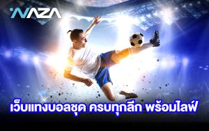 เว็บแทงบอลชุด