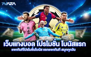 เว็บแทงบอล