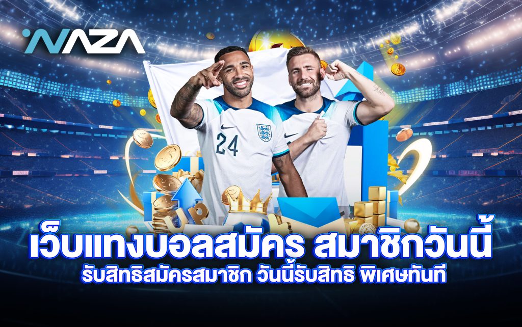 เว็บแทงบอล