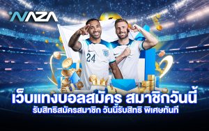 เว็บแทงบอล