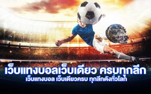 เว็บแทงบอล