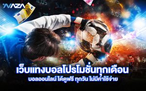 เว็บแทงบอล