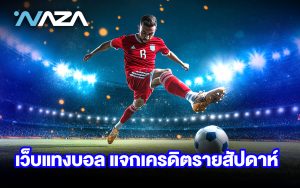 เว็บแทงบอล