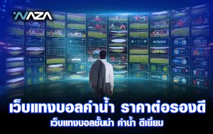 เว็บแทงบอลค่าน้ำราคาต่อรองดี