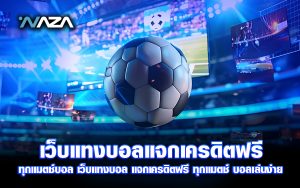 เว็บแทงบอล