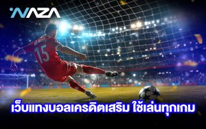 เว็บแทงบอล