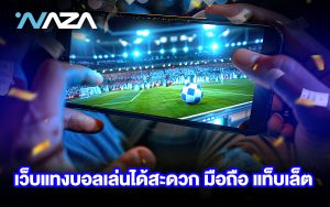 เว็บแทงบอล