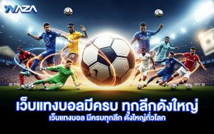 เว็บแทงบอล