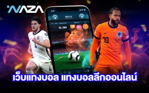 เว็บแทงบอลออนไลน์ค่าคอมสูง