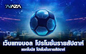 เว็บแทงบอล