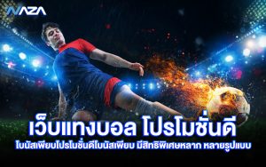 เว็บแทงบอล