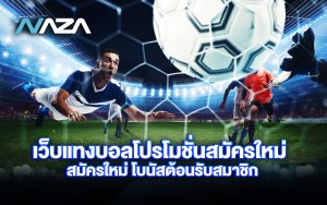 เว็บแทงบอล