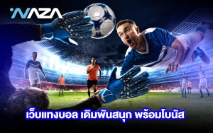 เว็บแทงบอล