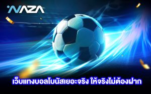 เว็บแทงบอล