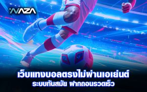 เว็บแทงบอล