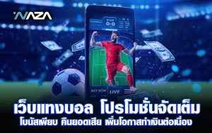 เว็บแทงบอล