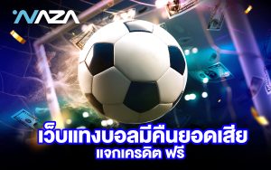 เว็บแทงบอล